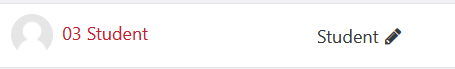 Shows the student's name with the role name student and a pencil icon beside the role name