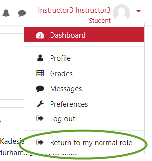 Screenshot of return to normal role